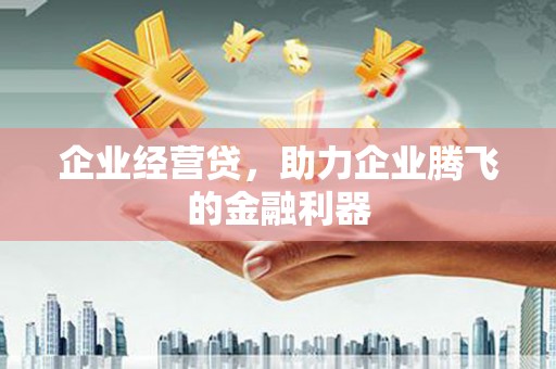 横县企业经营贷，助力企业腾飞的金融利器
