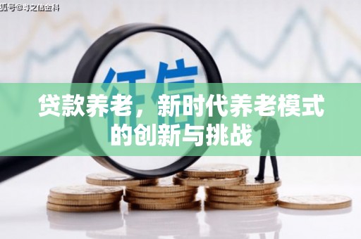 横县贷款养老，新时代养老模式的创新与挑战