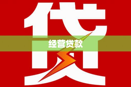 横县经营贷款