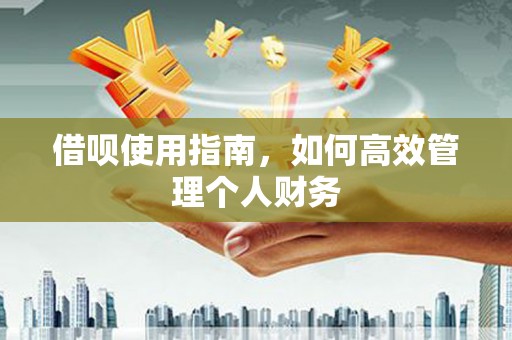 横县借呗使用指南，如何高效管理个人财务