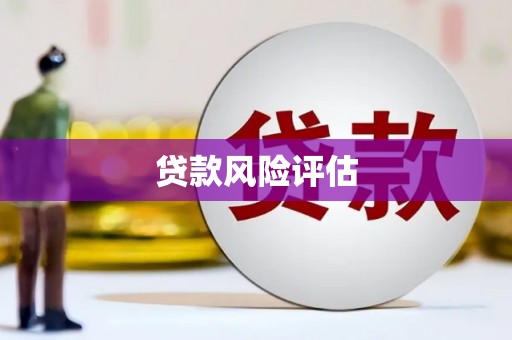 横县贷款风险评估