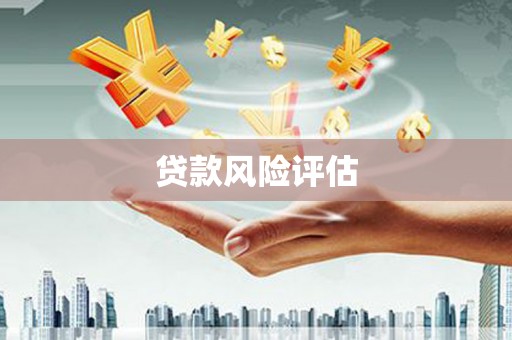 横县贷款风险评估