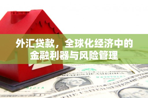 横县外汇贷款，全球化经济中的金融利器与风险管理