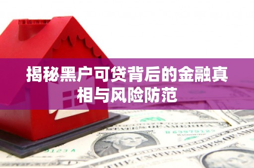 横县揭秘黑户可贷背后的金融真相与风险防范