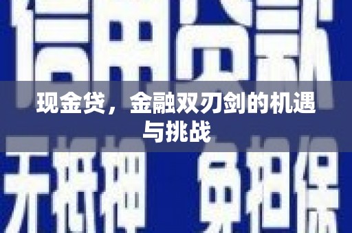 横县现金贷，金融双刃剑的机遇与挑战