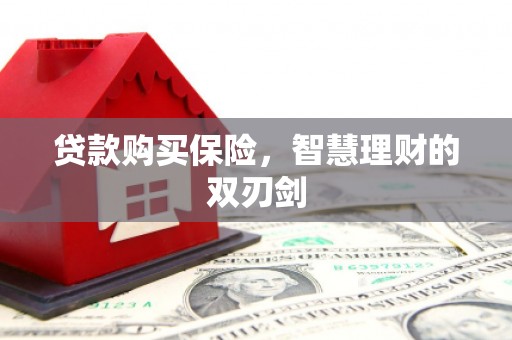横县贷款购买保险，智慧理财的双刃剑