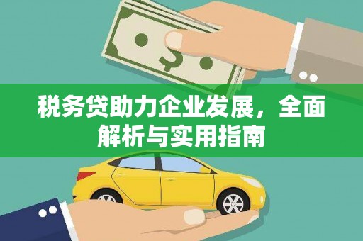 横县税务贷助力企业发展，全面解析与实用指南