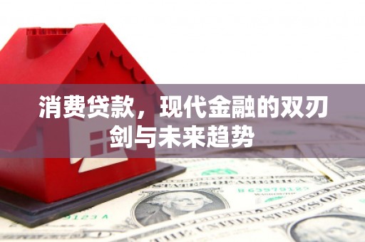 横县消费贷款，现代金融的双刃剑与未来趋势
