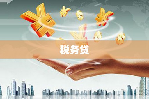 横县税务贷
