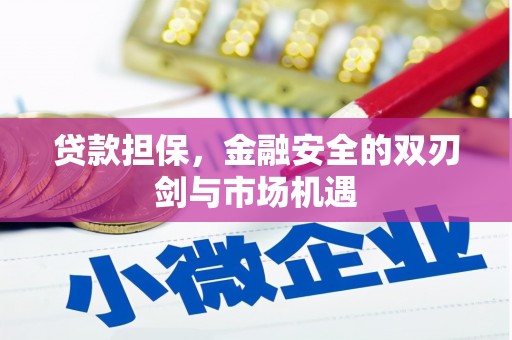 横县贷款担保，金融安全的双刃剑与市场机遇