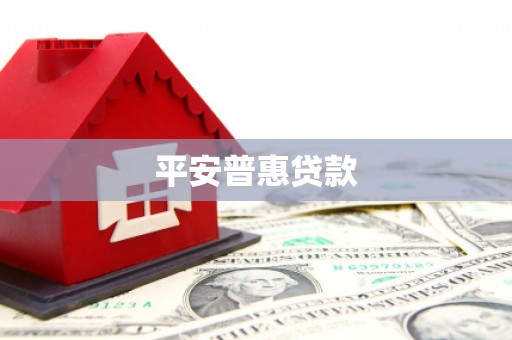 横县平安普惠贷款