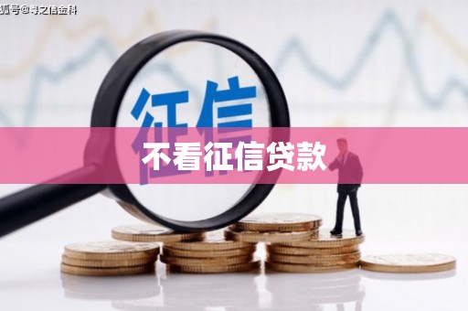 横县不看征信贷款