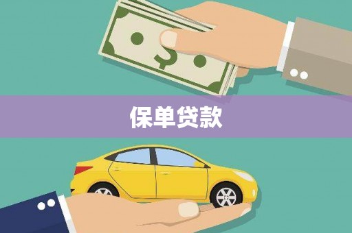 横县保单贷款