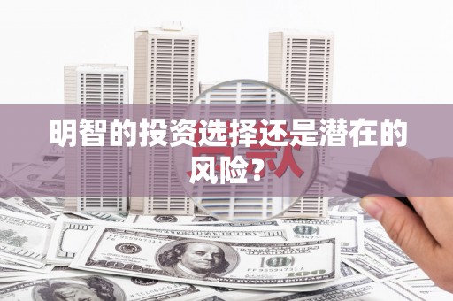 横县明智的投资选择还是潜在的风险？