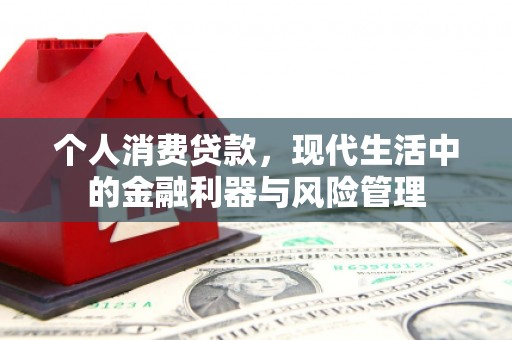 横县个人消费贷款，现代生活中的金融利器与风险管理