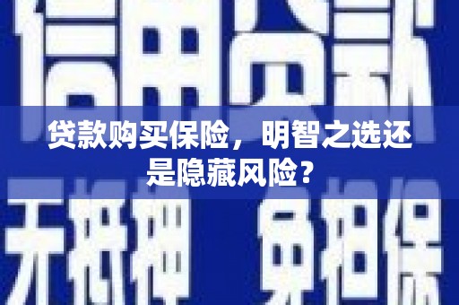 横县贷款购买保险，明智之选还是隐藏风险？