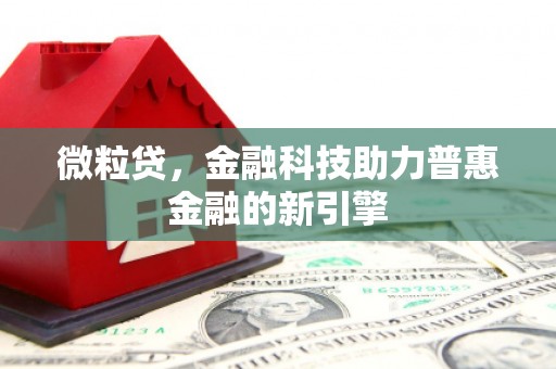 横县微粒贷，金融科技助力普惠金融的新引擎
