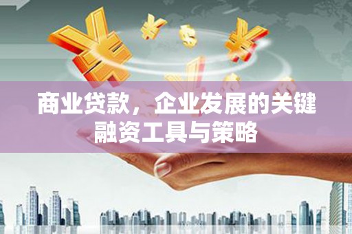 横县商业贷款，企业发展的关键融资工具与策略