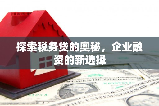 横县探索税务贷的奥秘，企业融资的新选择