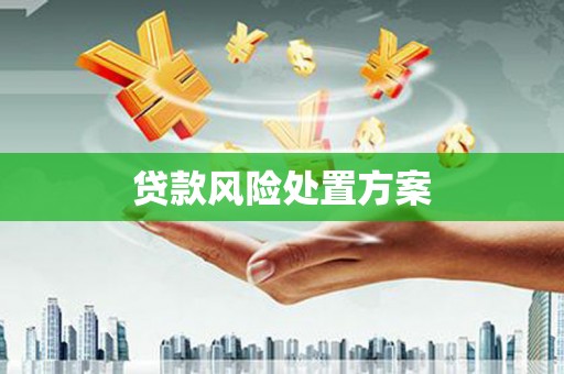 横县贷款风险处置方案
