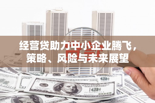 横县经营贷助力中小企业腾飞，策略、风险与未来展望