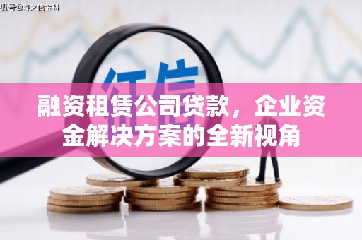 横县融资租赁公司贷款，企业资金解决方案的全新视角
