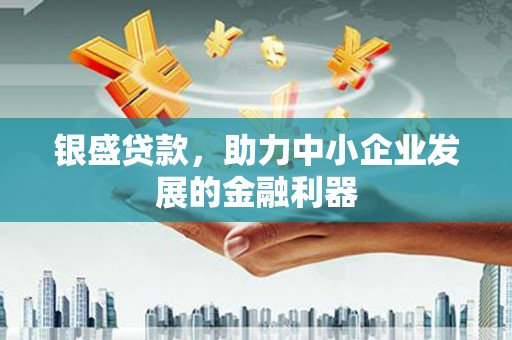 横县银盛贷款，助力中小企业发展的金融利器