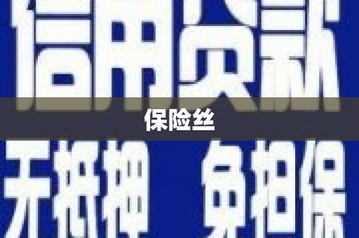 横县保险丝