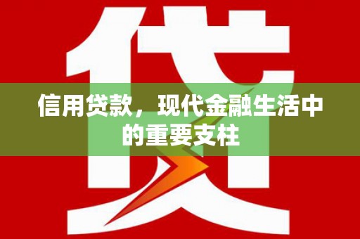 横县信用贷款，现代金融生活中的重要支柱