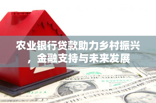 横县农业银行贷款助力乡村振兴，金融支持与未来发展