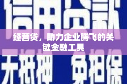 横县经营贷，助力企业腾飞的关键金融工具