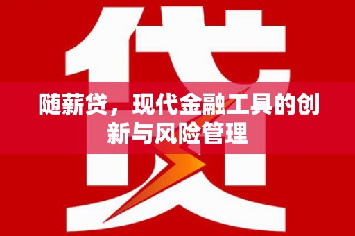 横县随薪贷，现代金融工具的创新与风险管理