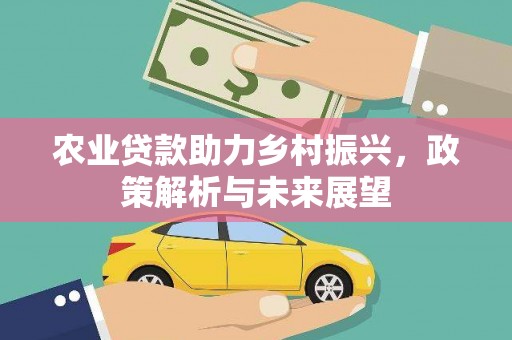 横县农业贷款助力乡村振兴，政策解析与未来展望