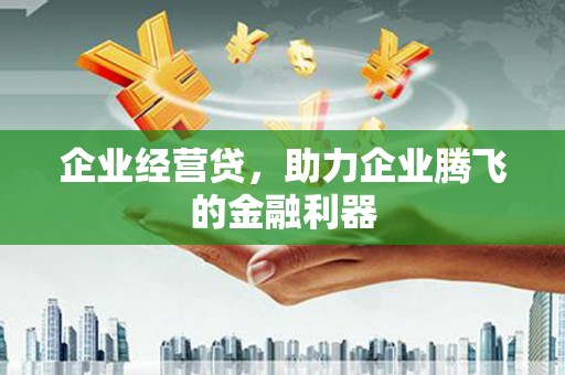 横县企业经营贷，助力企业腾飞的金融利器