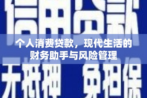 横县个人消费贷款，现代生活的财务助手与风险管理