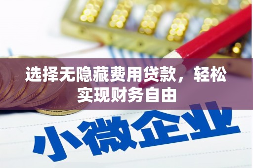 横县选择无隐藏费用贷款，轻松实现财务自由