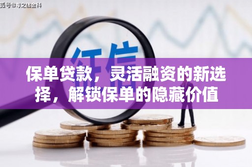 横县保单贷款，灵活融资的新选择，解锁保单的隐藏价值
