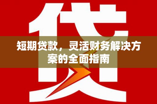 横县短期贷款，灵活财务解决方案的全面指南