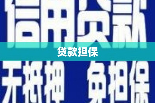 横县贷款担保