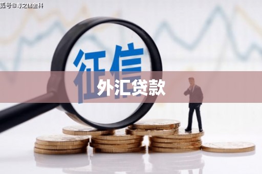 横县外汇贷款