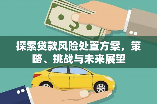 横县探索贷款风险处置方案，策略、挑战与未来展望