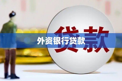 横县外资银行贷款