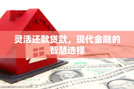 横县灵活还款贷款，现代金融的智慧选择