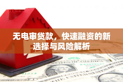 横县无电审贷款，快速融资的新选择与风险解析