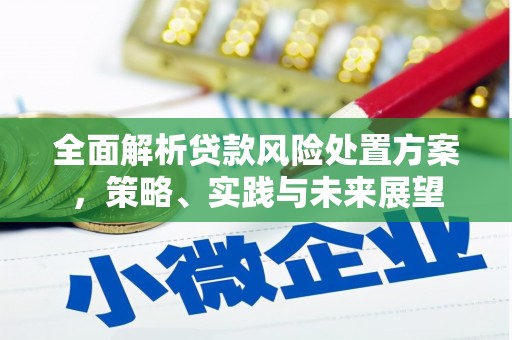 横县全面解析贷款风险处置方案，策略、实践与未来展望
