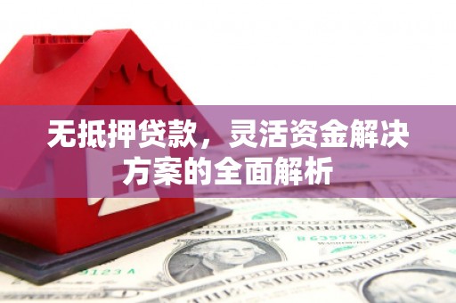 横县无抵押贷款，灵活资金解决方案的全面解析