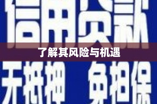 横县了解其风险与机遇