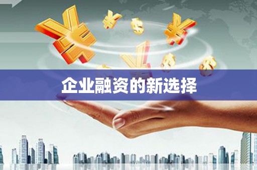 横县企业融资的新选择