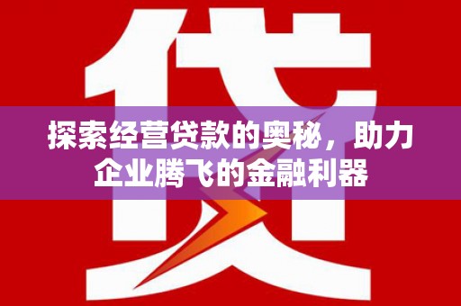 横县探索经营贷款的奥秘，助力企业腾飞的金融利器