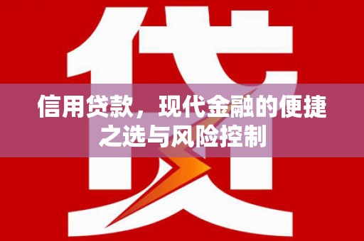 横县信用贷款，现代金融的便捷之选与风险控制